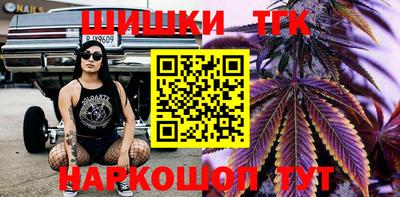 индика Гусь-Хрустальный