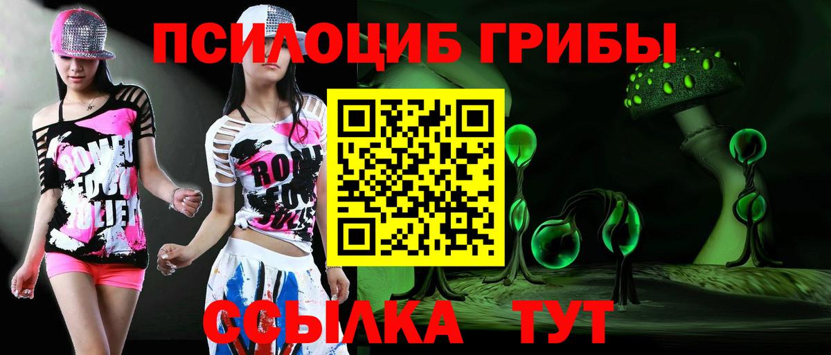 Псилоцибиновые грибы мицелий  Вход с VPN  Михайловка 